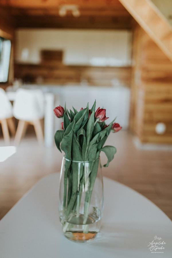 Vila Sielanka Mazurska Lepaki Wielkie Exteriér fotografie